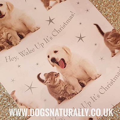 Puppy & Kitten Christmas Wrapping Paper & Tags